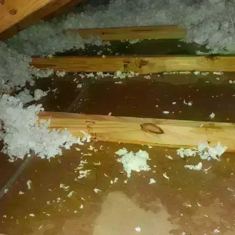 Attic Water Damage in La Habra, CA